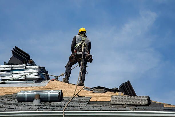 Professional Roof Replacement technician working in Mazon, IL